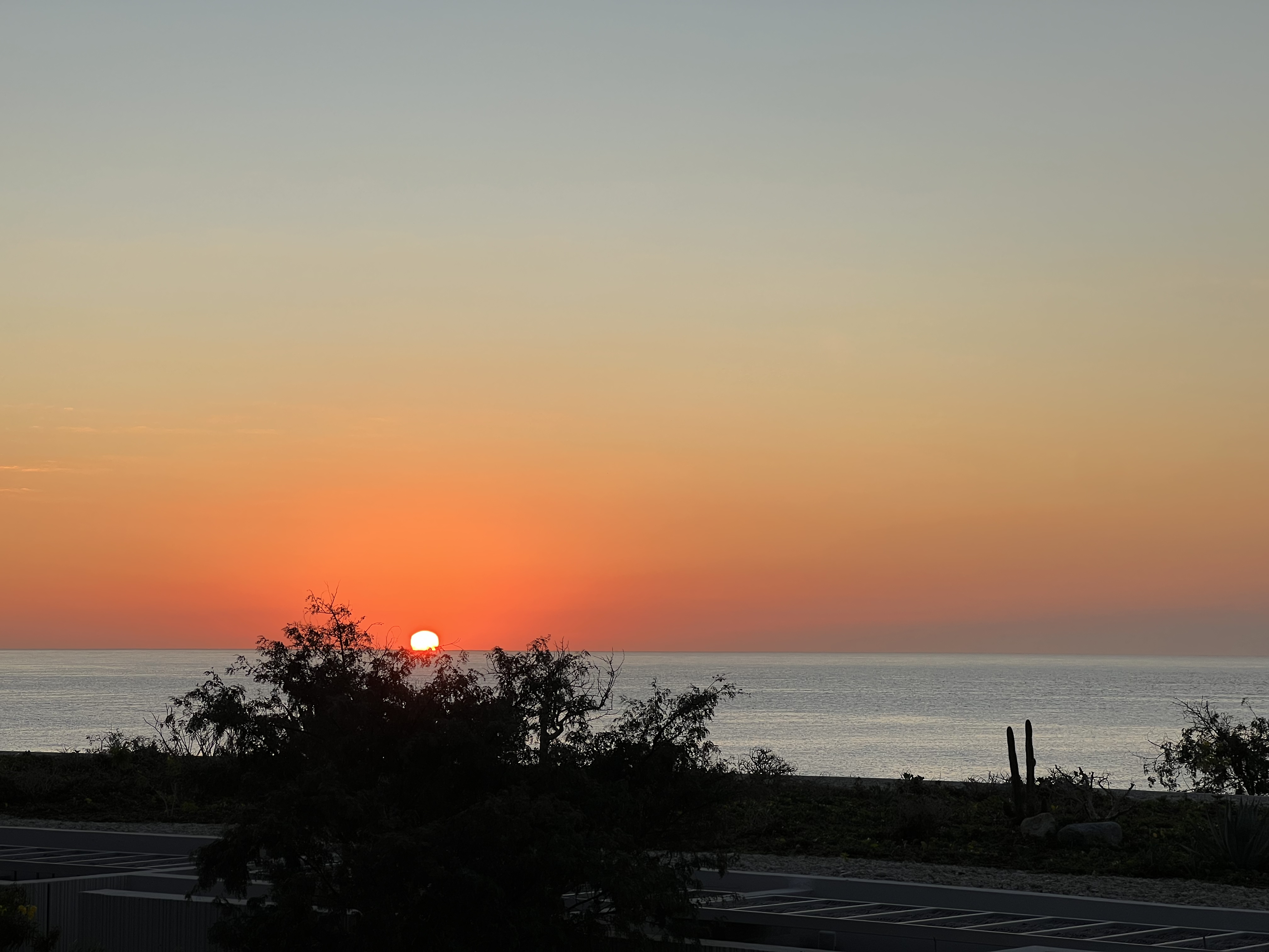 ./2024/13 - Cabo/IMG_4935.jpg